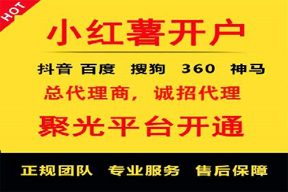 某行业领军企业的SEM广告投放策略